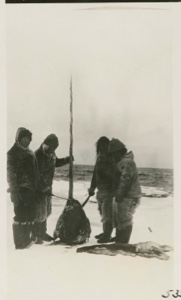Image: Eskimos and Narwhal head